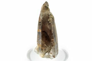 Smoky Quartz Crystal with Black Aegirine Inclusions - Malawi #348764