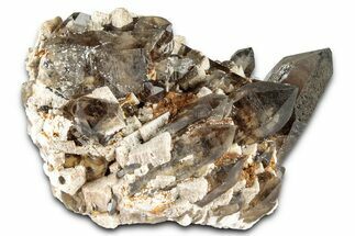 Lustrous Smoky Quartz Crystal Cluster on Feldspar - Malawi #348777