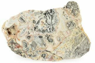 Polished Crazy Lace Agate Section - Australia #239809