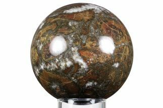 Polished King Cobra Jasper Sphere - India #348912