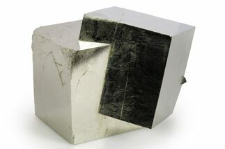 Shiny, Natural Pyrite Cube Cluster - Navajun, Spain #347338