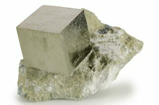 Natural Pyrite Cube In Rock - Navajun, Spain #337880
