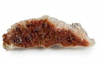Glittering Ruby Red Vanadinite Crystals on Barite - Morocco #349428