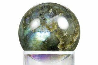 Flashy, Polished Labradorite Sphere - Great Color Play #350034