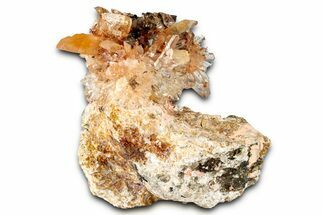 Orange Creedite Crystal Cluster on Matrix - Durango, Mexico #348133