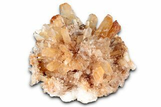 Sparkling Orange Creedite Crystal Cluster - Durango, Mexico #348149