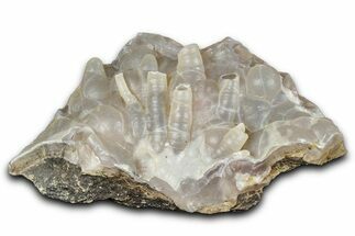 Botryoidal Chalcedony Formation - Indonesia #349716