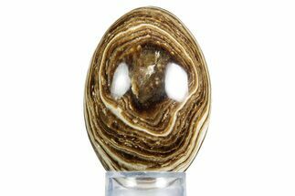 Swirling Polished Chocolate Calcite Egg - Pakistan #350175