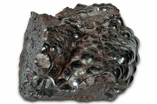 Kidney Ore (Botryoidal Hematite) - Morocco #349518