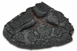 Dragon Scale Stone (Iron, Manganese, Siderite Nodule) #350186