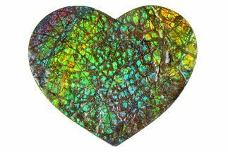 Flashy Ammolite (Fossil Ammonite Shell) Heart #350340