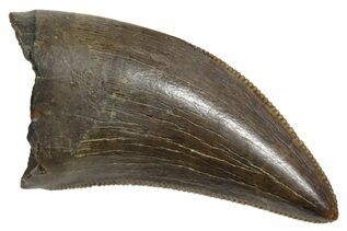 Recently Added For Sale