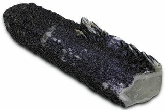 Dark Purple Fluorite Encrusted Quartz Crystal - New Find! #350669