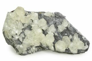 Tabular Nailhead Spar Calcite Crystals on Quartz - China #350845