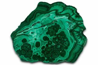 Flowery Polished Malachite Slab - DR Congo #350817
