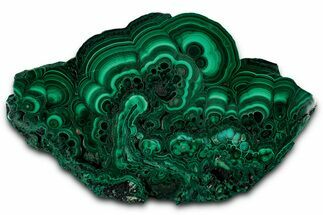 Flowery Polished Malachite Slab - DR Congo #350840