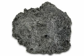 Fossil Glyptodont (Glyptotherium) Bony Armor Osteoderm - Florida #351076