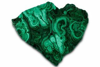 Flowery Polished Malachite Slab - DR Congo #350826