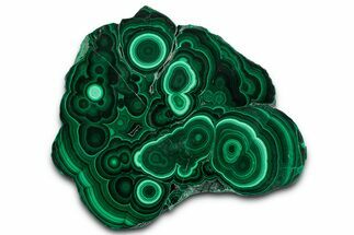 Flowery Polished Malachite Slab - DR Congo #350832