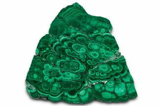 Flowery Polished Malachite Slab - DR Congo #350834