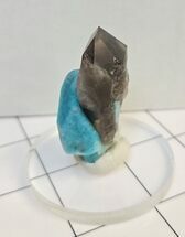 Amazonite Crystal with Smoky Quartz - Percenter Claim, Colorado #351512
