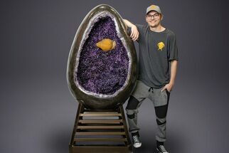 Egg-Shaped Amethyst Geode with Metal Stand - Spectacular Display! #351510