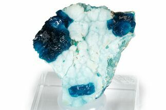Blue Veszelyite and Aurichalcite on Hemimorphite - Congo #351598