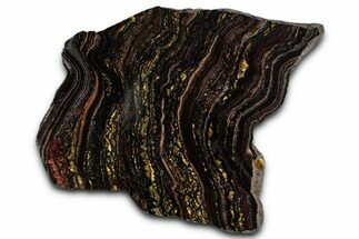 Polished Tiger Iron Stromatolite Slab - Billion Years #351797