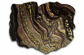 Polished Tiger Iron Stromatolite Slab - Billion Years #351800
