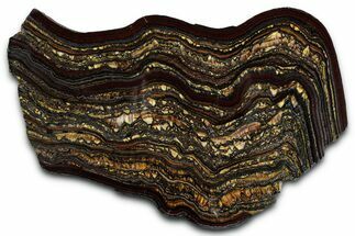 Polished Tiger Iron Stromatolite Slab - Billion Years #351804