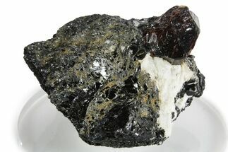 Fluorescent Zircon Crystal in Biotite Schist - Norway #351541