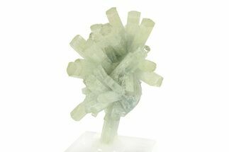 Pristine Goshenite Crystal Cluster - Erongo Mountains, Namibia #351520