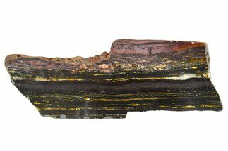 Polished Tiger Iron Stromatolite Slab - Billion Years #351816