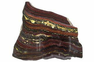 Polished Tiger Iron Stromatolite Slab - Billion Years #351820