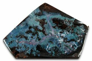 Colorful Polished Boulder Opal Specimen - Queensland, Australia #351850