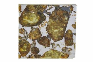 Brahin Pallasite Meteorite ( g) Slice - Belarus #351934