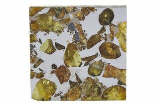 Pallasites For Sale