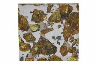 Brahin Pallasite Meteorite ( g) Slice - Belarus #351938