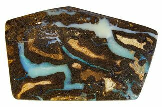 Colorful Polished Boulder Opal Specimen - Queensland, Australia #351884