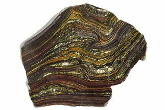 Polished Tiger Iron Stromatolite Slab - Billion Years #351883