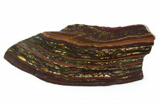 Polished Tiger Iron Stromatolite Slab - Billion Years #351889