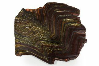 Polished Tiger Iron Stromatolite Slab - Billion Years #351978