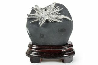 Polished Chrysanthemum Stone in Wood Base - China #352107
