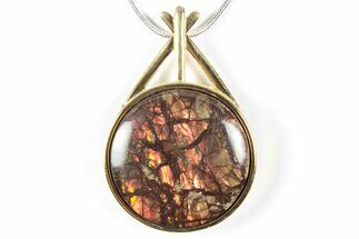 Brilliant Ammolite Pendant (Necklace) - Alberta, Canada #352199