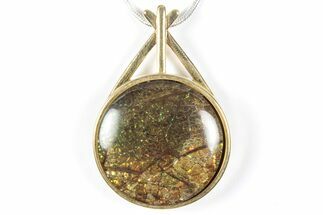 Brilliant Ammolite Pendant (Necklace) - Alberta, Canada #352200