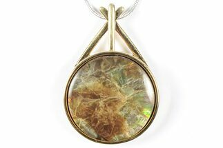 Brilliant Ammolite Pendant (Necklace) - Alberta, Canada #352201