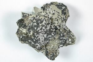 1.5