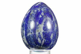 Polished Lapis Lazuli Egg - Pakistan #352510