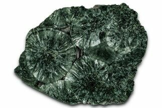 Polished Seraphinite Slab - Korshunovkiy Mine, Siberia #352663