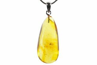 Polished Baltic Amber Pendant (Necklace) - Contains Fly! #352971